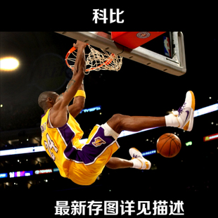 伊利比兰德学院文凭毕业证怎么买假的